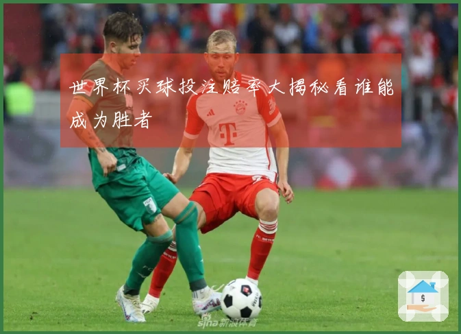 世界杯买球投注赔率大揭秘看谁能成为胜者