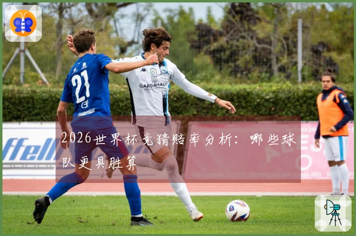 2026世界杯竞猜赔率分析：哪些球队更具胜算