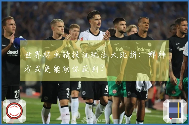 世界杯竞猜投注玩法大比拼：哪种方式更能助你获利？
