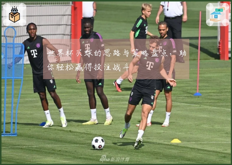 世界杯买球的思路与策略盘点，助你轻松赢得投注战斗